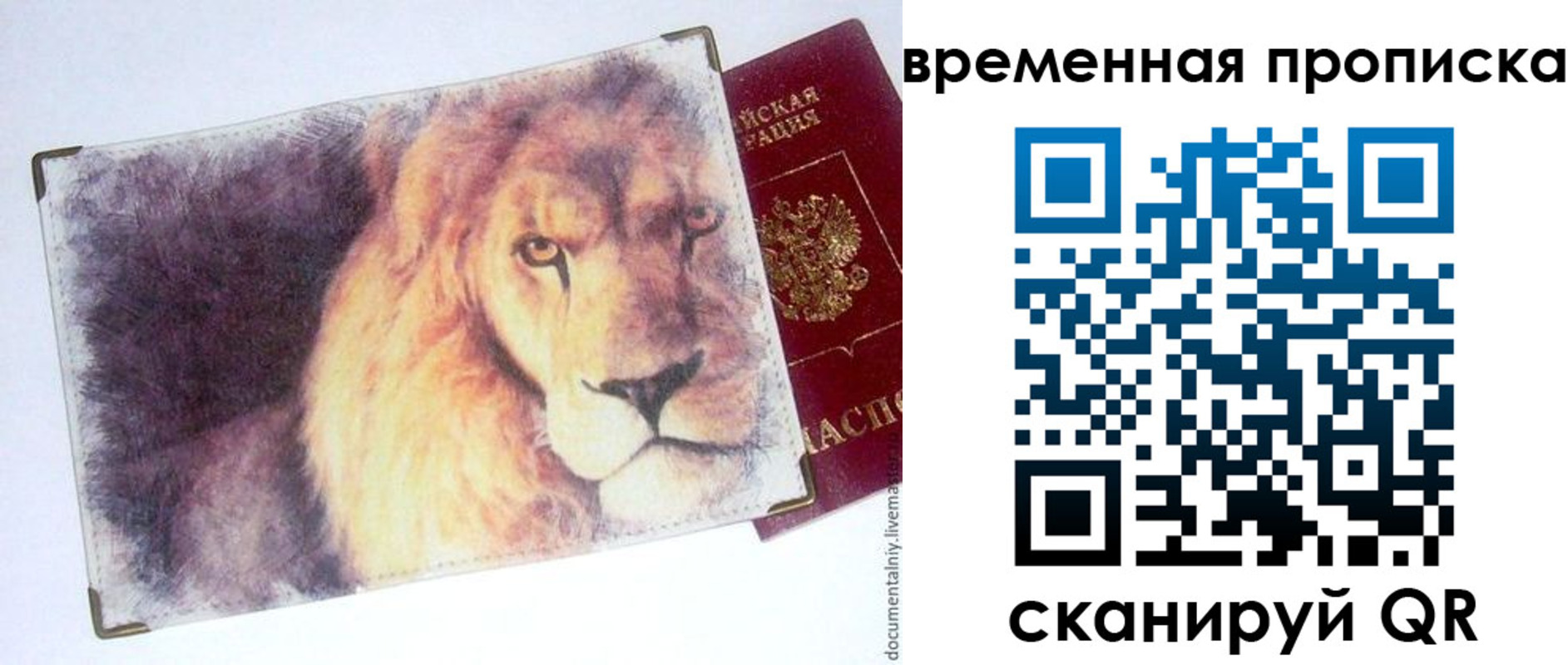 временная регистрация для школы в Биробиджане
